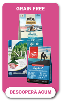 grain free